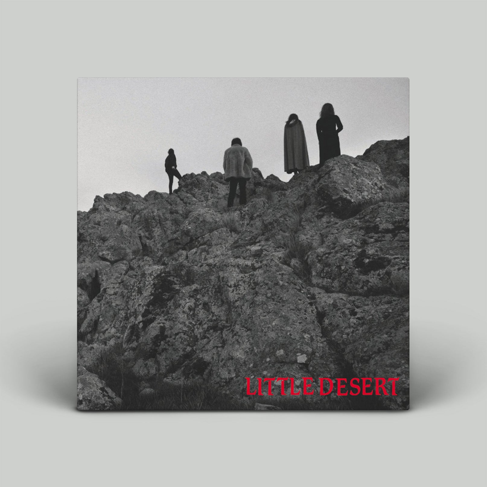 Little Desert - Ashes | Vinyl 7"