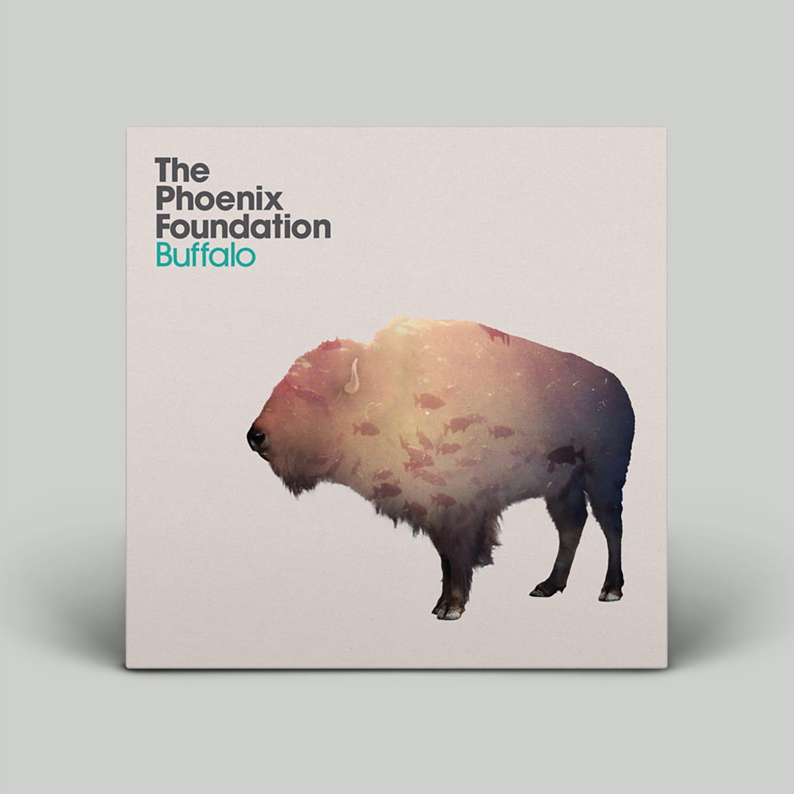 The Phoenix Foundation - Buffalo | Vinyl LP