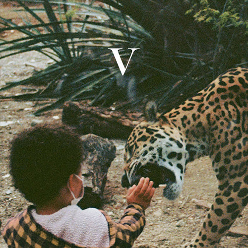 V (2LP)