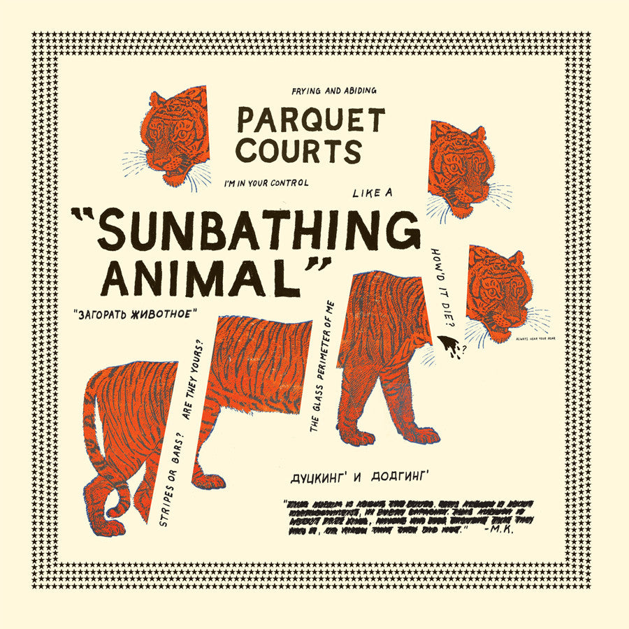 Parquet Courts - Sunbathing Animal 