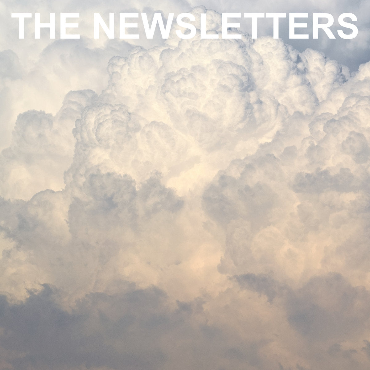 The Newsletters